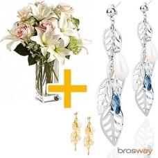 Brosway Earrings (Curated)